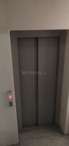 Hall Image of 1800 Sq.ft 3 BHK Builder Floor for rent in Safdarjung Enclave New Delhi for Rs. 150000