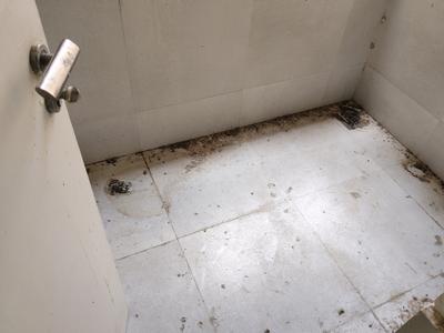 Drying Area Image of 1200 Sq.ft 2 BHK Apartment / Flat for sale in Adani Atrius, Jagatpur Ahmedabad for Rs. 7500000