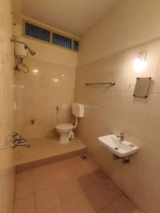 Bathroom Image of 1300 Sq.ft 2 BHK Apartment / Flat for rent in Kankanady Mangalore for Rs. 27500