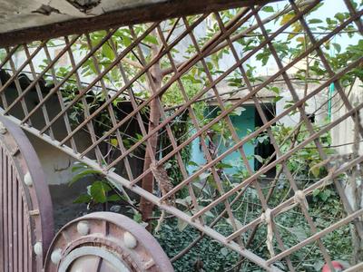 Balcony Image of 900 Sq.ft 1 BHK Independent House for sale in Qutub Vihar New Delhi for Rs. 9500000