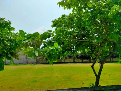 Image of 580 Sq.ft 1 BHK Apartment / Flat for sale in Vinayakkripa Central Park Shervani Legacy Phase 1, Dhoomanganj, Allahabad for Rs. 4150000