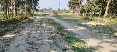 Image of 1000 Sq.ft Residential Plot / Land for sale in Green Ext 01 Phase III, Dighra Rampur Shah, Muzaffarpur for Rs. 3000000