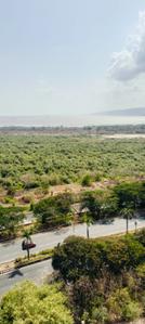Image of 1200 Sq.ft 2 BHK Apartment / Flat for rent in Sanpada, Navi Mumbai for Rs. 65000