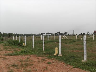 Image of 100 Sq.ft Residential Plot / Land for sale in Pishini, Srikakulam for Rs. 800000