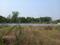 Maan Plot View 2