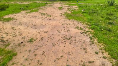 Image of 1415 Sq.ft Residential Plot / Land for sale in Munnirpallam, Tirunelveli for Rs. 975000
