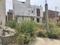 Sadullapur Main Image 1