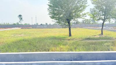 Image of 1350 Sq.ft Residential Plot / Land for sale in Govardhan, Mathura for Rs. 2700000