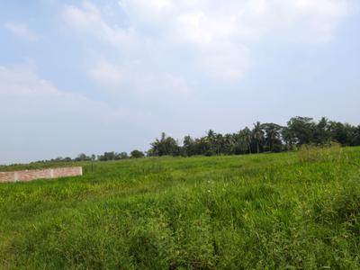 Image of 720 Sq.ft Residential Plot / Land for sale in Nest Valley, Joka, Kolkata for Rs. 155508