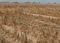 Dholera Smart City Main Image 1