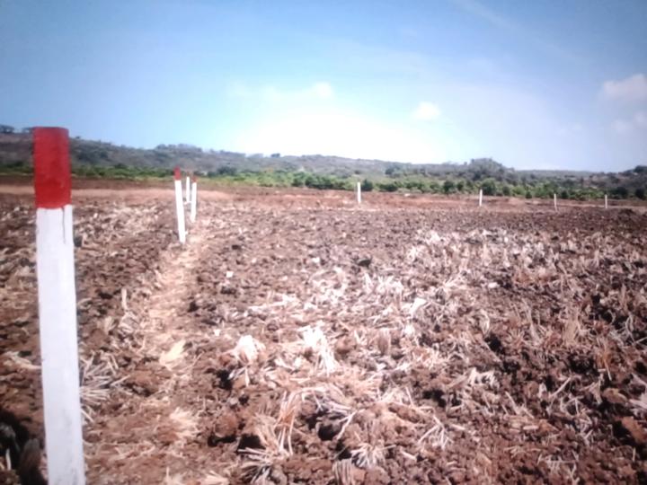 Punade Main Image 1