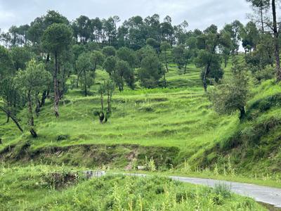 Image of 1800 Sq.ft Residential Plot / Land for sale in Airari, Ranikhet for Rs. 800000