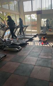 Image of 796 Sq.ft 1 BHK Apartment / Flat for sale in Kohinoor Abhimaan Homes, Shirgaon, Pune for Rs. 3500000