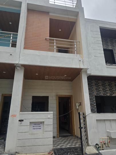 77 vibrant green omax 1 Main Image 1