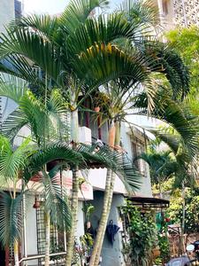 Image of 1400 Sq.ft 2 BHK Villa for sale in Manas Morning Dew Row House, Undri, Pune for Rs. 14000000
