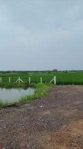 Image of 50 Sq.ft Residential Plot / Land for sale in Silani, Gurgaon for Rs. 750000