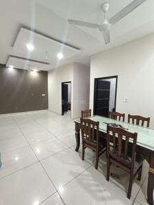3 BHK Flat