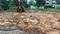 Horamavu Agara, Horamavu Plot View 2