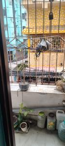 Balcony Image of 740 Sq.ft 2 BHK Apartment / Flat for sale in Krishna Apartment, Baguiati Kolkata for Rs. 2600000
