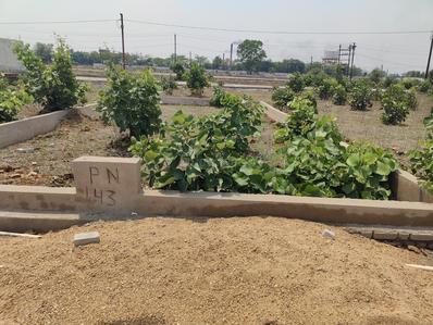 Image of 1250 Sq.ft Residential Plot / Land for sale in Ghuru, Bilaspur for Rs. 1375000