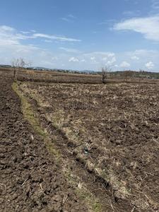 Invest Mahamumbai Plots In Uran Plot View 2