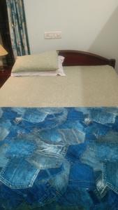Bedroom Image of 797 Sq.ft 2 BHK Builder Floor for rent in Ekkatuthangal Chennai for Rs. 24000