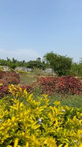 Image of 1453 Sq.ft Residential Plot / Land for sale in Ganeshapuram, Coimbatore for Rs. 2183859