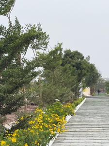 Image of 1337 Sq.ft Residential Plot / Land for sale in Kodies Paradise Avenue, Sulur, Coimbatore for Rs. 3298379