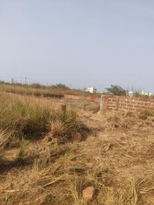 Arisol Plot View 2