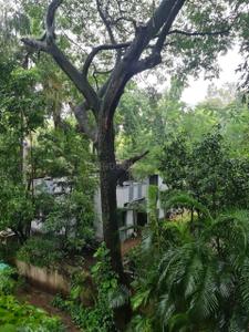 Image of 1000 Sq.ft 2 BHK Apartment / Flat for rent in Sangamvadi, Pune for Rs. 55000