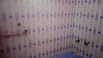 Buddhar Colony Bathroom 1