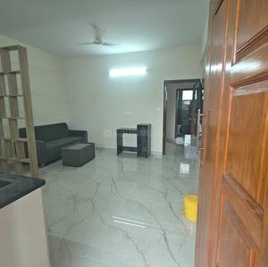Hall Image of 650 Sq.ft 1 BHK Apartment / Flat for rent in Kasavanahalli Bengaluru for Rs. 28000