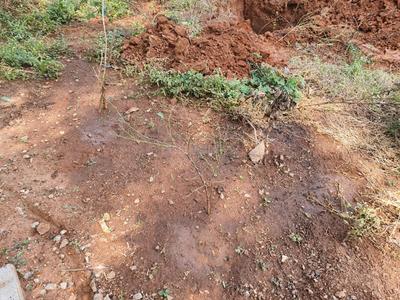Image of 19800 Sq.ft Residential Plot / Land for sale in Chinna Thimmapur, Hyderabad for Rs. 20000000