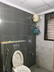 Common Bathroom Image of 936 Sq.ft 2 BHK Apartment / Flat for rent in Lodha Palava Downtown, Palava Phase 2 Thane for Rs. 20000