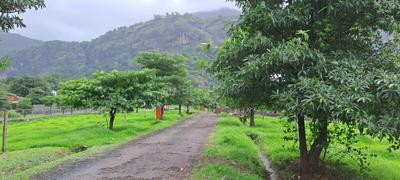Image of 3821 Sq.ft Residential Plot / Land for sale in Thanale, Raigad for Rs. 3800000