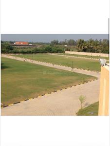 Ikonn Palms Plot View 2