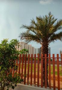 Image of 900 Sq.ft Residential Plot / Land for sale in Shivdaspura, Jaipur for Rs. 1000000
