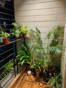 Balcony Image of 1500 Sq.ft 3 BHK Apartment / Flat for rent in Deshbandhu Para Siliguri for Rs. 32000