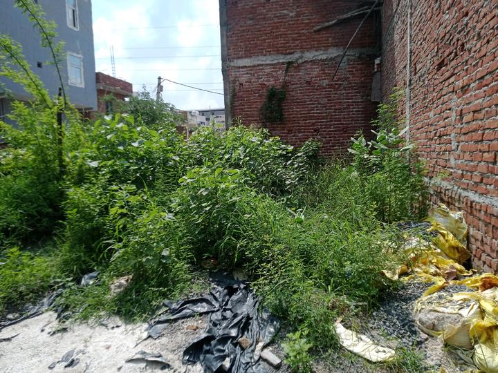 Block C, Sector 81 Main Image 1