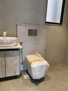 Common Bathroom Image of 2700 Sq.ft 4 BHK Builder Floor for sale in DLF City Floor Phase 2, DLF Phase 2 Gurgaon for Rs. 52500000