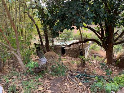 Image of 20000 Sq.ft 6 BHK Farm House for sale in Shenvad, Pune for Rs. 20000000