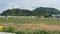 Alapakkam Plot View 2