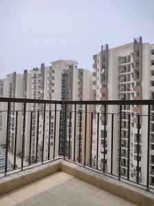 Bedroom One Image of 1450 Sq.ft 3 BHK Apartment / Flat for rent in Amrapali Leisure Park, Noida Extension Greater Noida for Rs. 22000