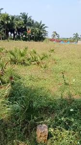 Image of 2097 Sq.ft Residential Plot / Land for sale in Peddapuram, Kakinada for Rs. 1800000