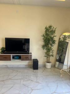 Hall Image of 942 Sq.ft 1 BHK Apartment / Flat for rent in Gachibowli Hyderabad for Rs. 30000