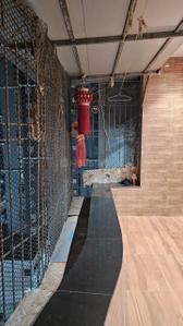Balcony Image of 1130 Sq.ft 2 BHK Apartment / Flat for rent in Sanpada Navi Mumbai for Rs. 80000