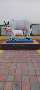 Image of 3045 Sq.ft Residential Plot / Land for sale in Pattanam, Coimbatore for Rs. 1100900