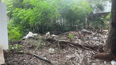 Stage 1 Plot View 2