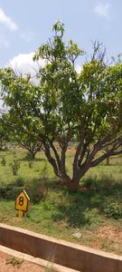 Image of 1200 Sq.ft Residential Plot / Land for sale in Vaibhav Greens Phase I, Mallenahalli, Sidlaghatta, Chikballapur District for Rs. 1080000