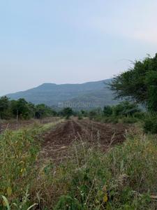 Image of 11000 Sq.ft Residential Plot / Land for sale in Bhor, Pune for Rs. 1895000